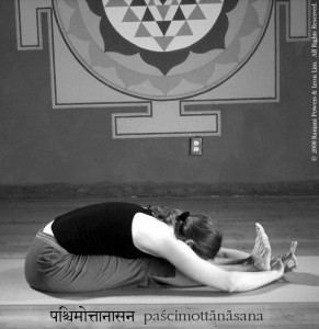 ranjani_paschimottanasana