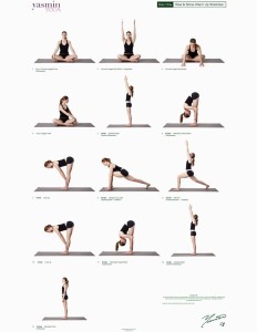 v. yoga